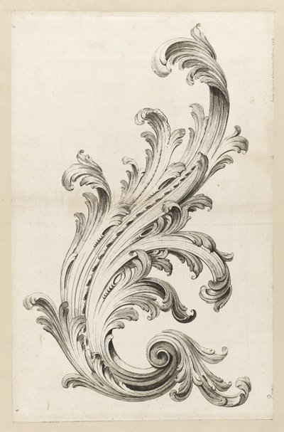 Disegno di foglia di acanto da Alexis Peyrotte